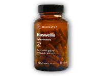 Boswellia 60 kapslí
