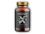 Ginkgo Biloba Bloodflow+ 60 rostlinných kapslí