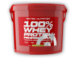 100% Whey Protein Professional 5000g - vanilka
