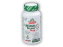 ProVEGAN Lactase Enzyme 60 Vcaps