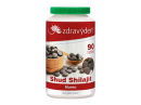 Shud Shilajit mumio 90 tablet 37,8g