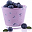 příchut blueberry yogurt