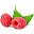 příchut raspberry cream kiss